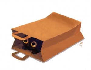 cat bag art